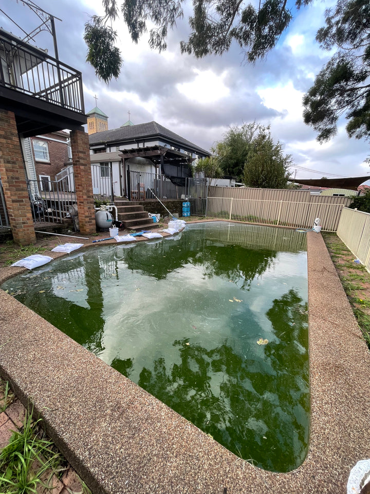 Green Pool Recovery