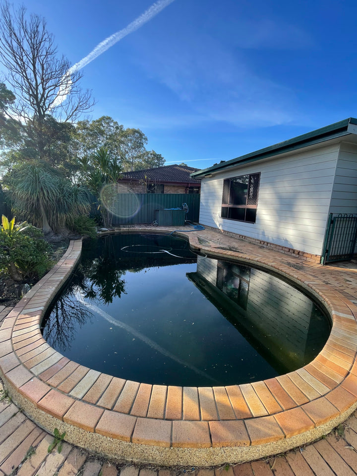 Pool Drain & Acid Washing