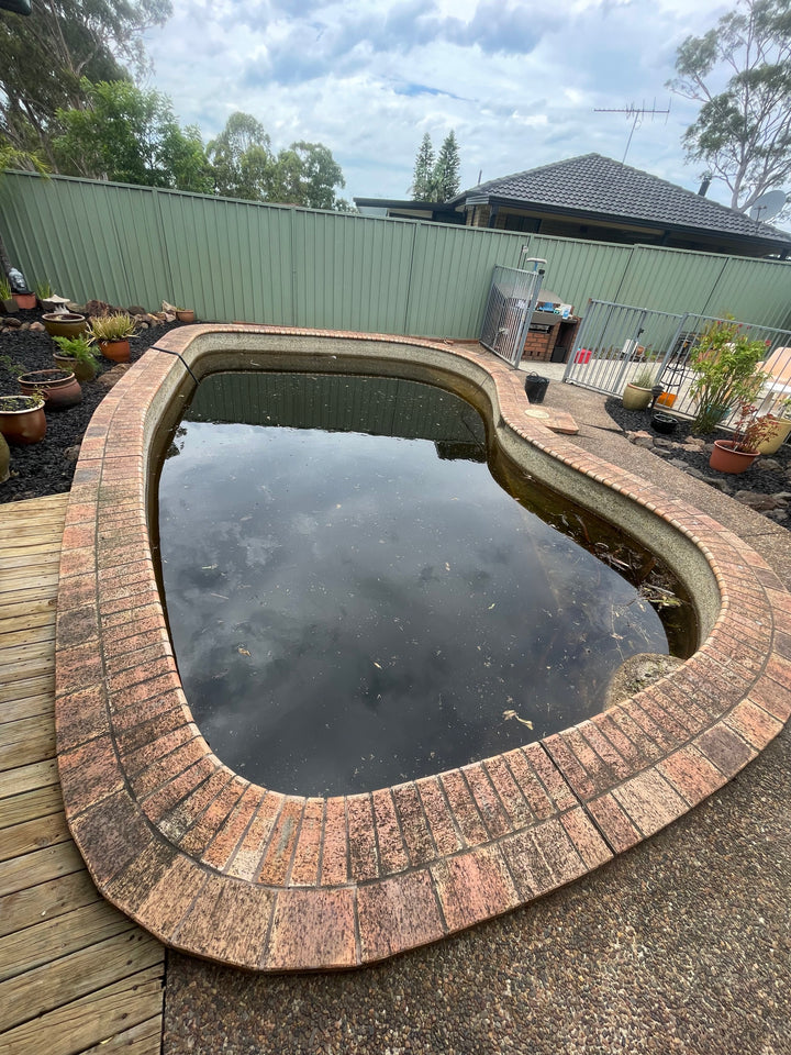 Green Pool Recovery